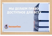consultant